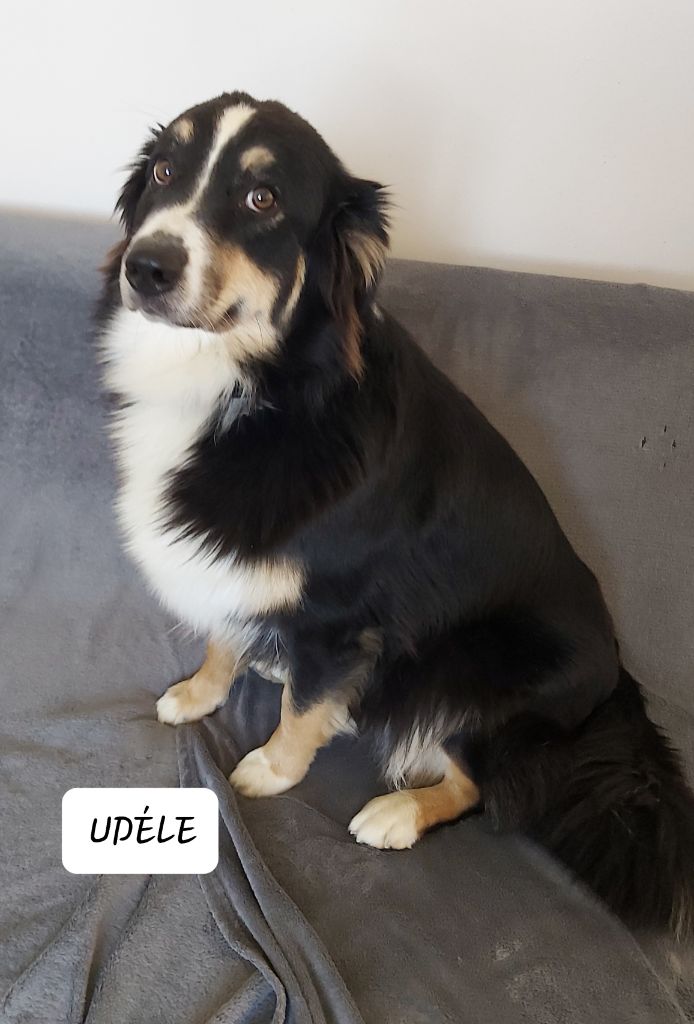 Udéle (Sans Affixe)